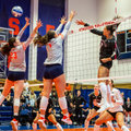 Syracuse loses ACC opener to No. 4 Louisville in straight sets