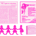 In a landmark spot for reproductive rights, students give Syracuse advocates ‘hope’