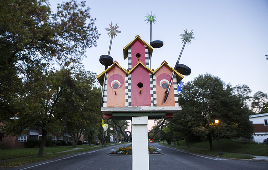 Residents deal with birdhouse theft, vandalism