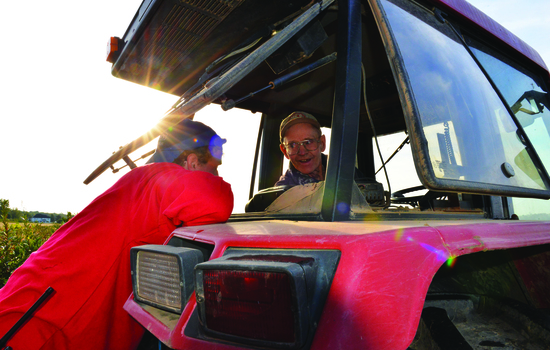Abbott Farms hosts thousands for apple picking, fall festivities