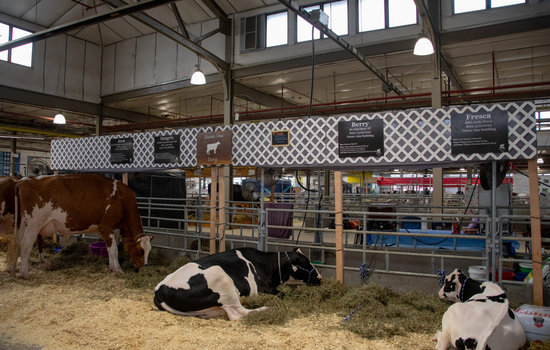 Great NY State Fair’s new parking restrictions draw divide, burden vendors