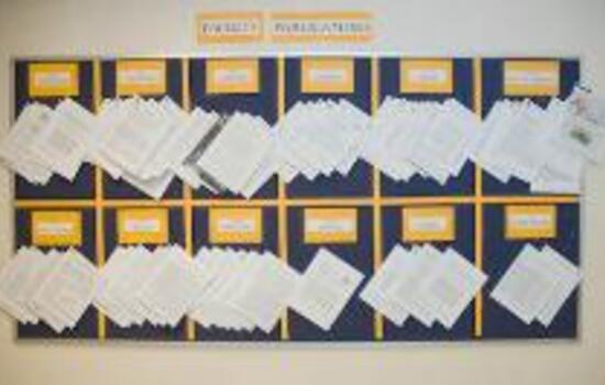 Publish or perish: Professors face pressure to focus on research in hope of securing tenure
