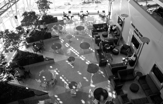 Cream of the crop: Pulp presents seven lesser-known sweet spots on the Hill