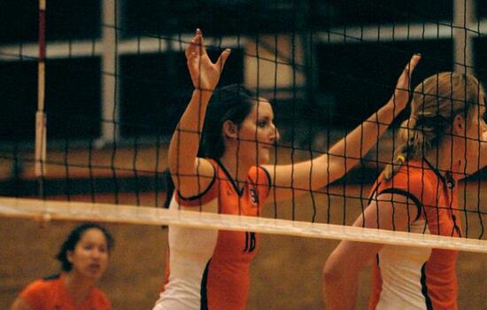 VB : Little becomes reliable veteran for Orange with increased playing time 