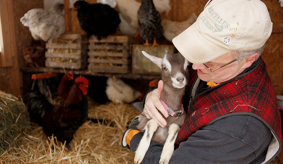 Gallery: Newhouse adjunct professor Steve Carlic strays away from consumerism, builds life with family around natural elements