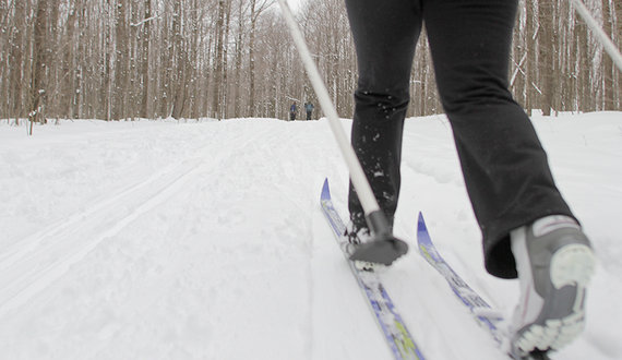 Take me out: SUOC members embrace cold weather and adventure with cross country skiing outing
