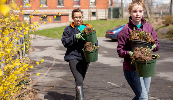 Beautiful day in the neighborhood: OrangeSeeds group organizes community service event to clean up Syracuse Northside