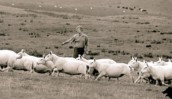 Professor showcases Lockerbie photo exhibit