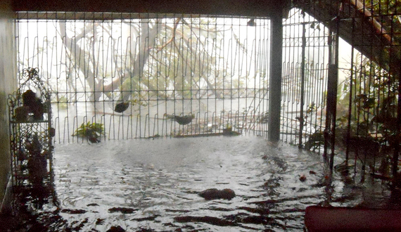 Braving the storm: SU community reacts, comes together in aftermath of typhoon in the Philippines
