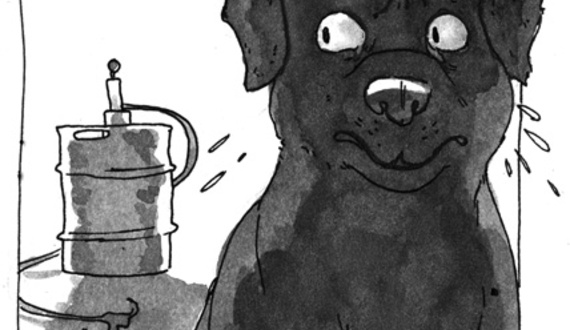 Barking up the wrong tree: SUNY-Brockport students charged with torturing an animal after posting photo of dog drinking from keg
