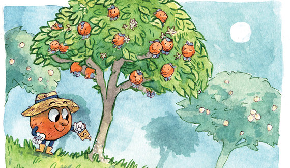 Picking oranges: Former Ottos reflect on spending time as SU’s beloved mascot