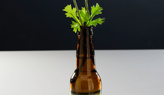 Thirsty Thursday: Flower Power IPA