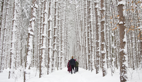 Syracuse hosts annual WinterFest, celebrates city history with entertainment and events