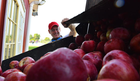 Week in Pulp: Apple orchards, pizza tours