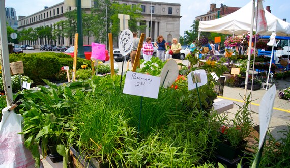 Syracuse Downtown Farmers Market expands, features more than 50 local farmers