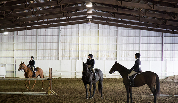 New York State Fairgrounds to make $9 million renovation to equestrian facilities