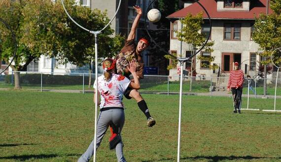 Weekend plans: Diagon Alley, Disco Biscuits, pet costumes