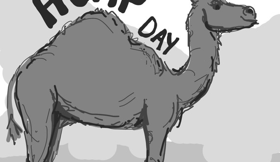 Hump Day