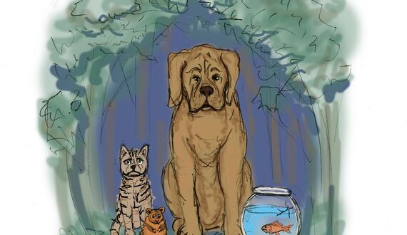 Pets of SU students face multiple fates at the end of the semester