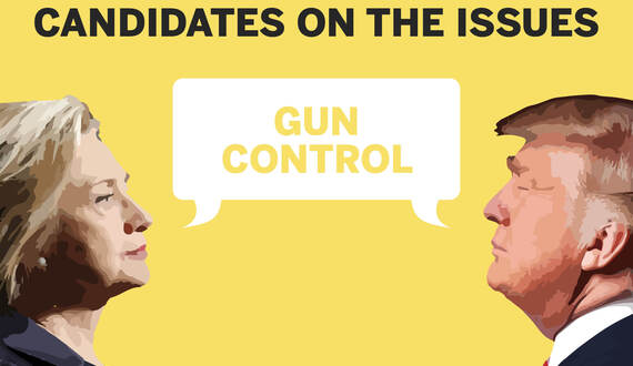 Candidates on the issues: Gun control