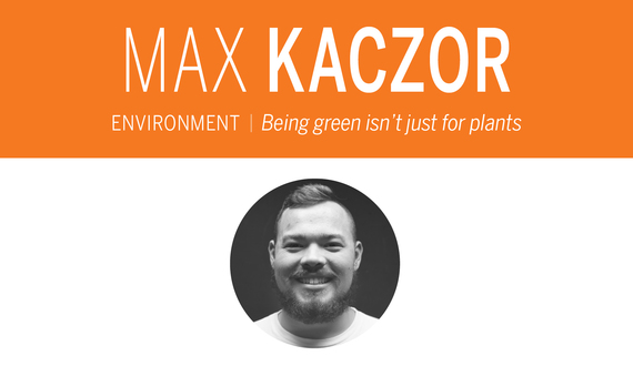 Hemp should pave way for recreational marijuana legalization