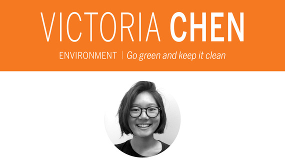 For sustainability&#8217;s sake, rethink nuclear energy