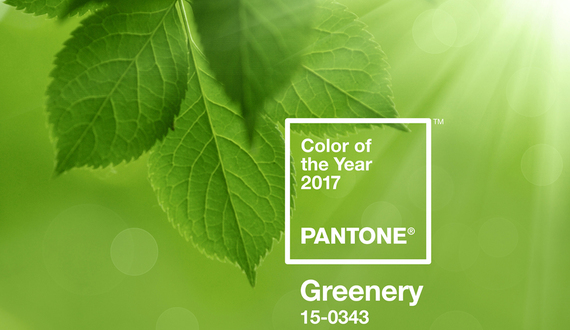 From the Design Desk: Pantone&#8217;s Color of the Year
