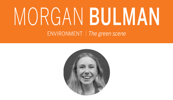 How ordinary people can work to enact environmental policy under an anti-climate change Trump administration