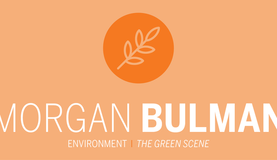 Green buildings are more effective for you than coffee, and other takeaways from Wednesday’s Center of Excellence presentation