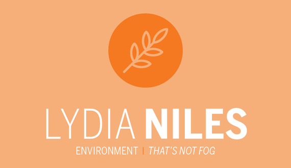 Throwing environmental side effects out the window, Cuomo prevents passage of plastic bag tax bill in New York City