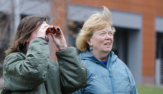 All eyes are on the red-tailed hawks nesting on Lyman Hall