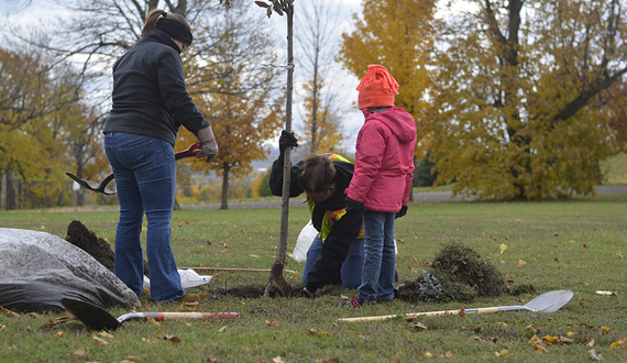 How planting one tree can turn into an environmental revolution