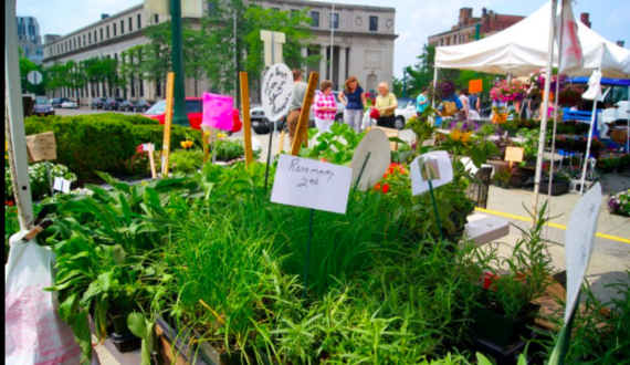 Not going to Juice Jam? Check out what you can do over the weekend in CNY
