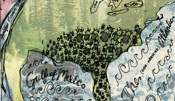 Climate change is helping the southern pine beetle kill New York’s trees