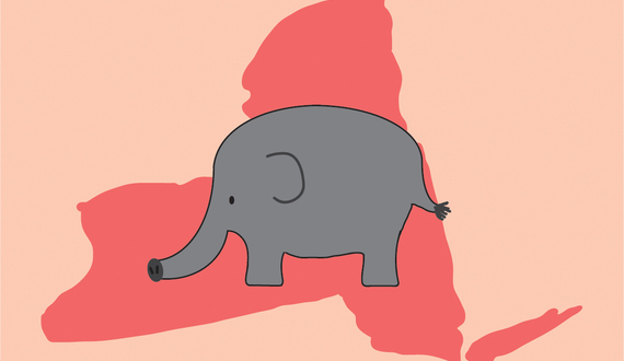 Banning elephant abuse in New York paves way for future animal welfare legislation