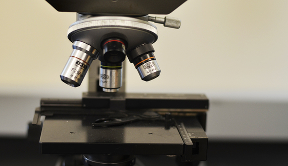 Syracuse University professors awarded $330,000 to research bacteria