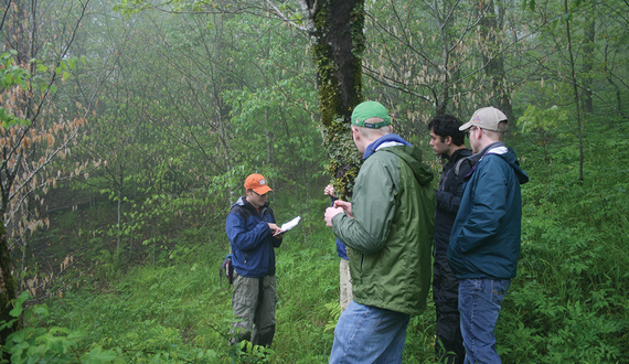 Biology professor to study climate change in Great Smoky Mountains