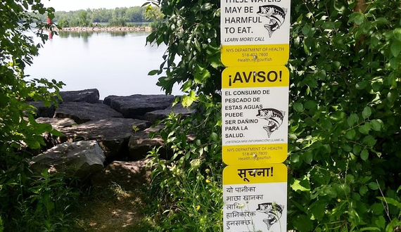 Teach your neighbor to fish — just not in Onondaga Lake