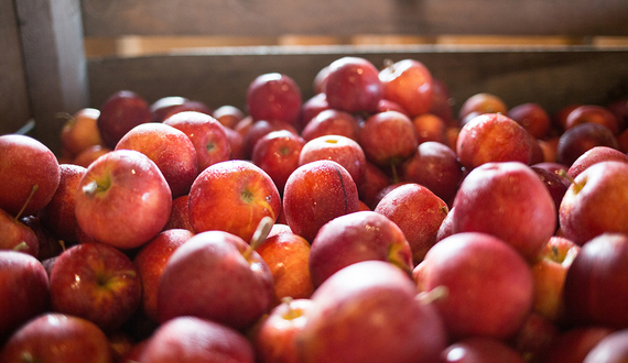 Concerns over food quality can bolster success of local farms