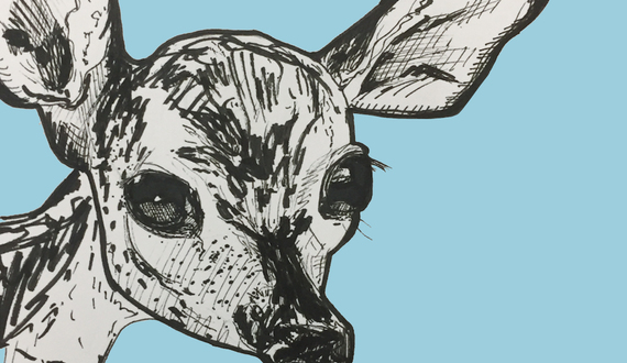 Syracuse to develop solutions to rising deer population