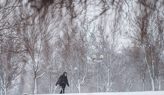 Comstock and Euclid Avenues to join snow removal program