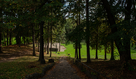 We need to vote this November to save our environment