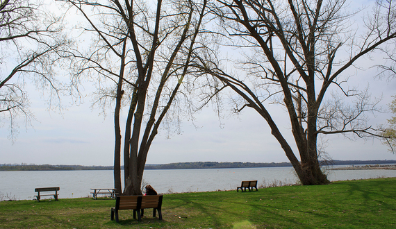 Mercury pollution has threatened Onondaga Lake wildlife for decades