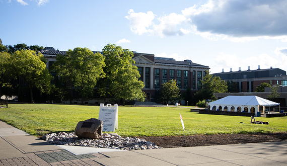SUNY-ESF researchers review petition to advance Chestnut tree restoration