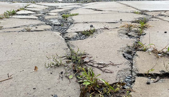 Mayor Walsh, Councilor Bey clash over $4.5 million Syracuse sidewalk policy
