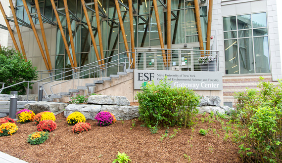 SUNY ESF ranks 1st in sustainability curriculum