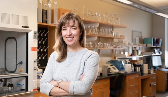 In new honors professorship, Heidi Hehnly wants to bridge art, science at SU