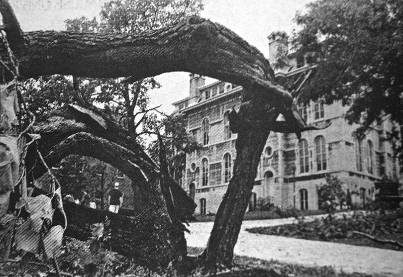 A tree outside the Hall of Languages was destroyed during the storm. The storm caused widespread devastation on campus, and classes were cancelled.