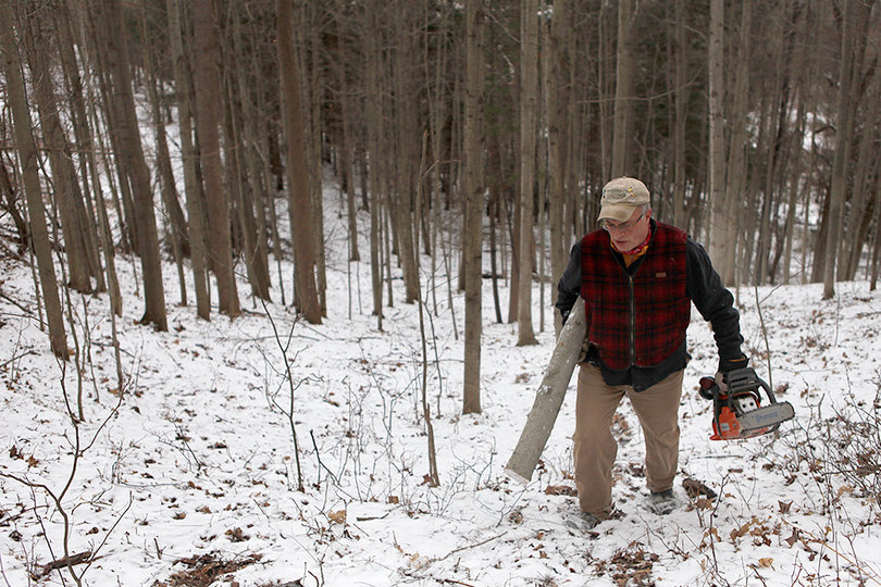 After cutting several selections, Carlic carries his trunks back to his house for preparation.