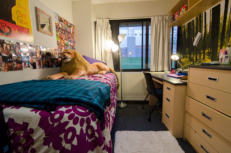 Name: Maddy Lyon.

Year: Freshman.

Major: Fashion design.

Dorm: Boland Hall.

Decorating style: Random, colorful, groovy
“I have a large stuffed animal lion on my bed, so I can lean on it like a big body pillow. My room is kind of like avant-garde, really colorful and there’s an eclectic mix of what’s going on in there. Everyone always walks into my room and says, ‘Oh, are you artsy or what?’”